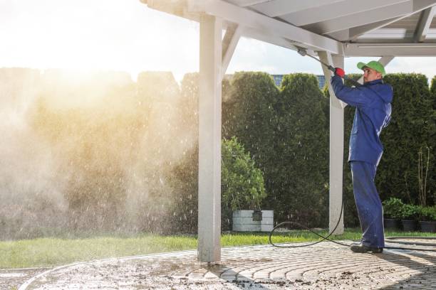 Best Warehouse Cleaning  in Lester Prairie, MN
