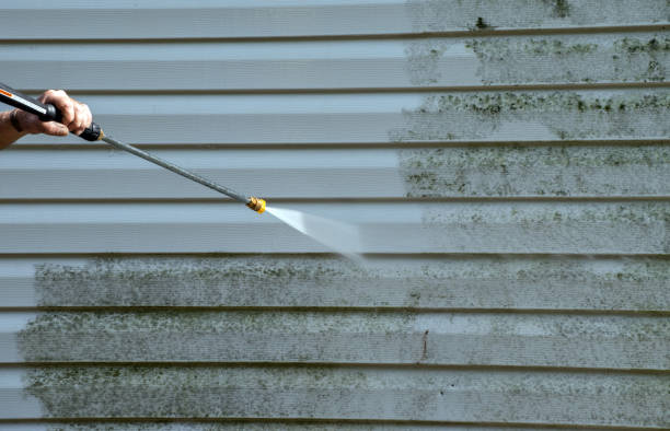 Best Parking Lot and Garage Cleaning  in Lester Prairie, MN