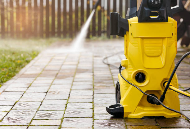 Best Solar Panel Cleaning  in Lester Prairie, MN
