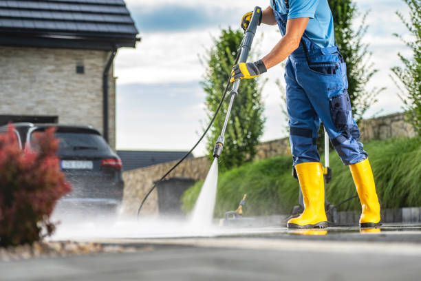 Best Fence Cleaning  in Lester Prairie, MN